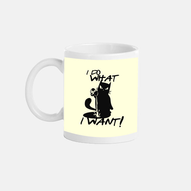 I Do What I Want-none glossy mug-fanfabio