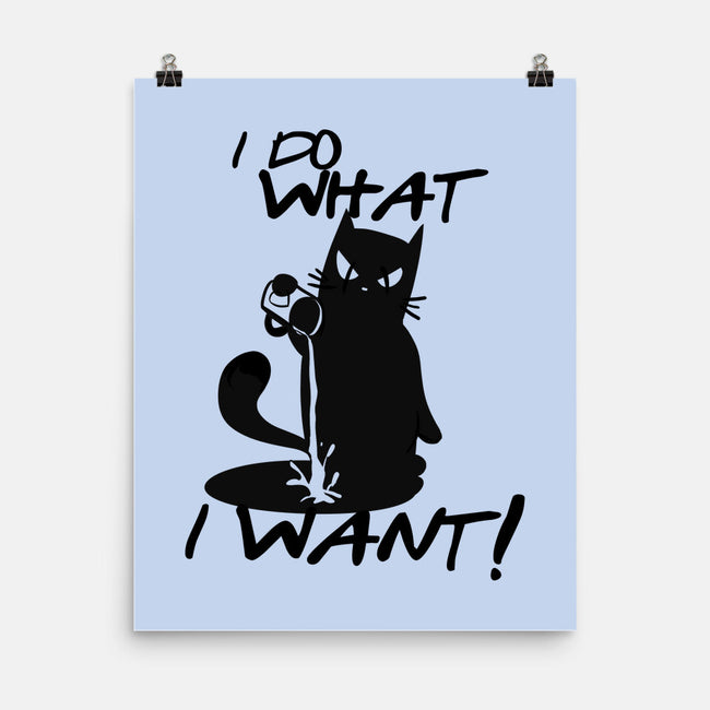 I Do What I Want-none matte poster-fanfabio
