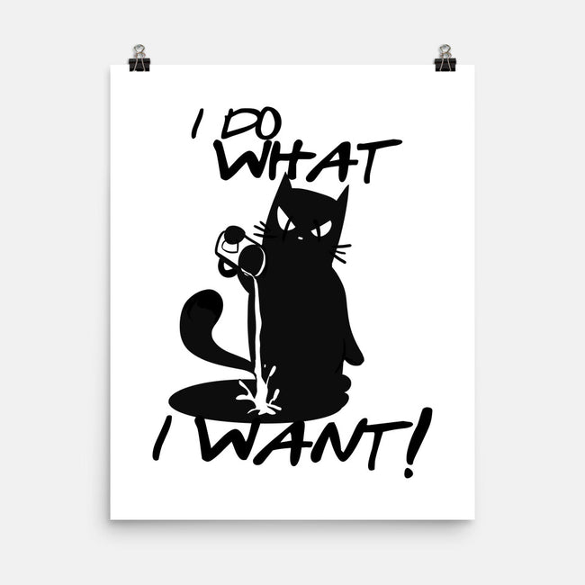 I Do What I Want-none matte poster-fanfabio