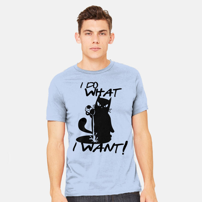 I Do What I Want-mens heavyweight tee-fanfabio