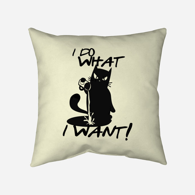 I Do What I Want-none removable cover w insert throw pillow-fanfabio