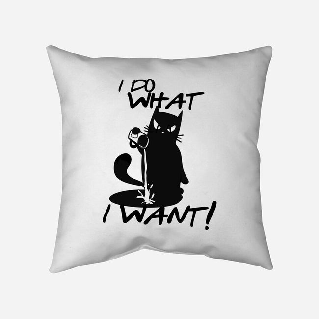 I Do What I Want-none removable cover w insert throw pillow-fanfabio