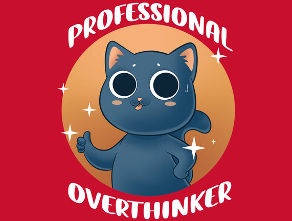 Professional Overthinker