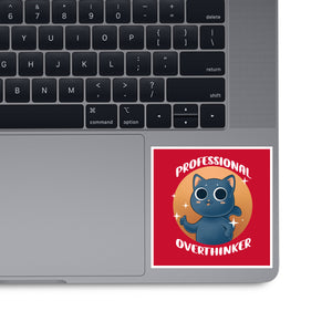 Professional Overthinker