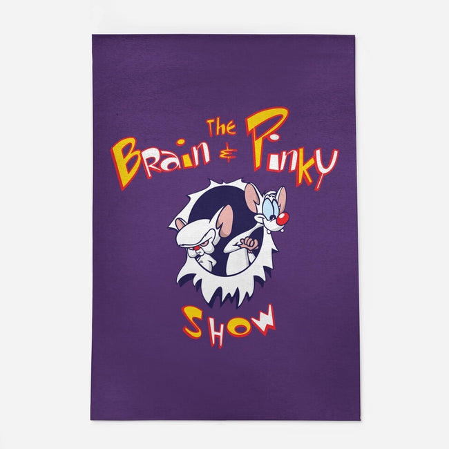 The Brain And Pinky Show-none outdoor rug-dalethesk8er