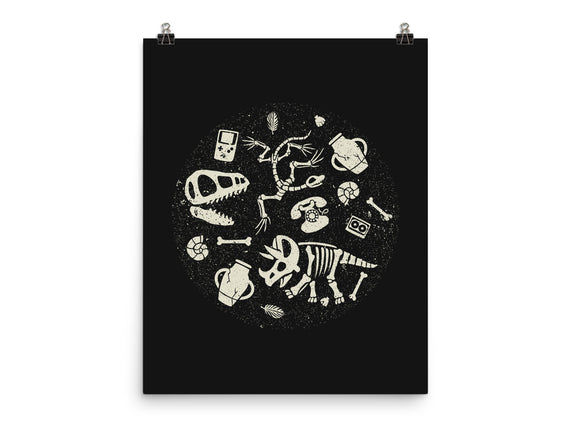 Dinosaur Fossils