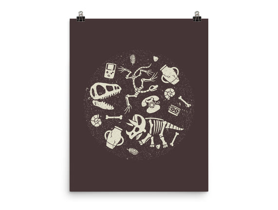 Dinosaur Fossils