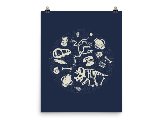 Dinosaur Fossils