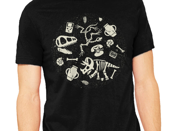 Dinosaur Fossils