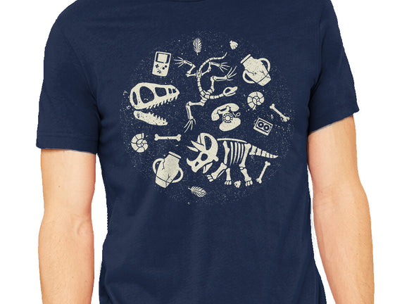 Dinosaur Fossils