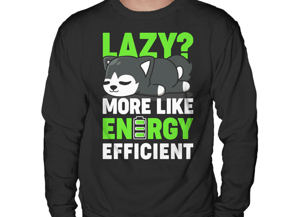 Energy Efficient
