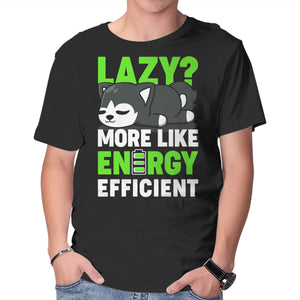 Energy Efficient