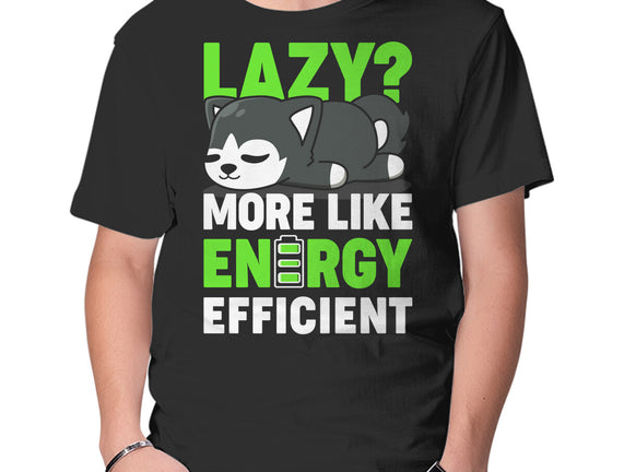 Energy Efficient