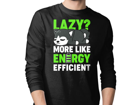 Energy Efficient