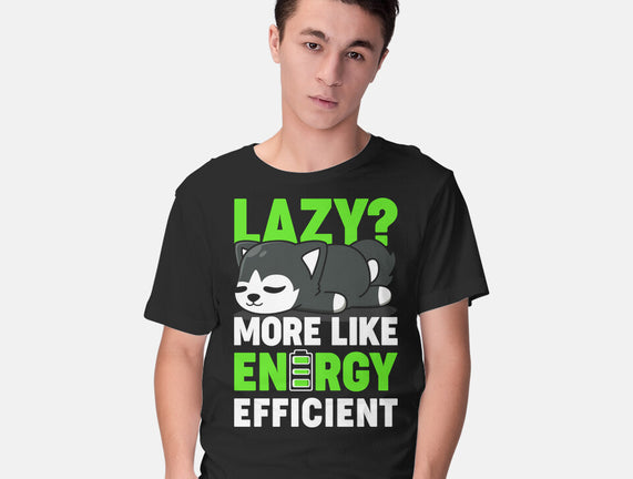 Energy Efficient