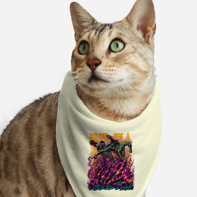 Titan Fight-cat bandana pet collar-alanside