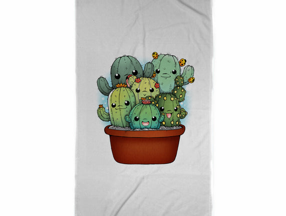 Cactus Family