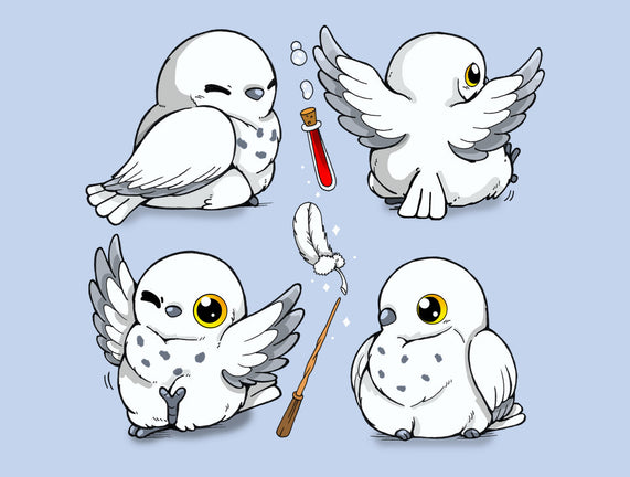 Magical Owls