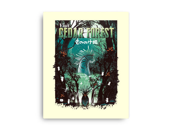 Visit Cedar Forest