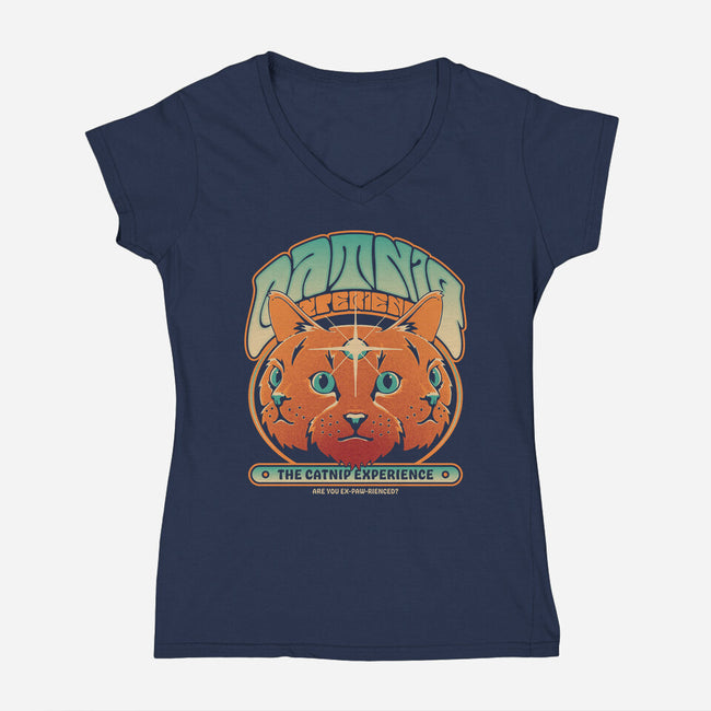 Catnip Experience-womens v-neck tee-zawitees