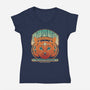 Catnip Experience-womens v-neck tee-zawitees