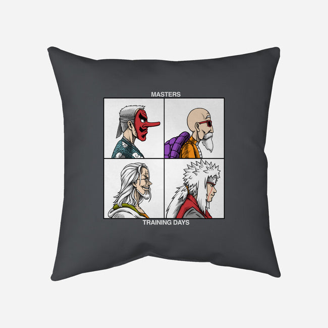 Training Days-none removable cover w insert throw pillow-joerawks