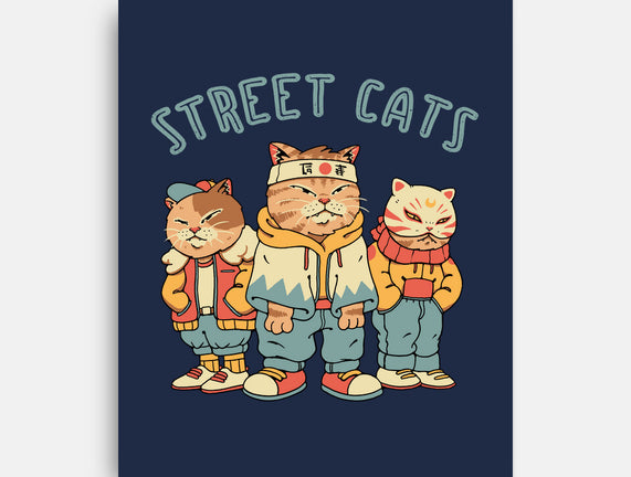 Street Cats