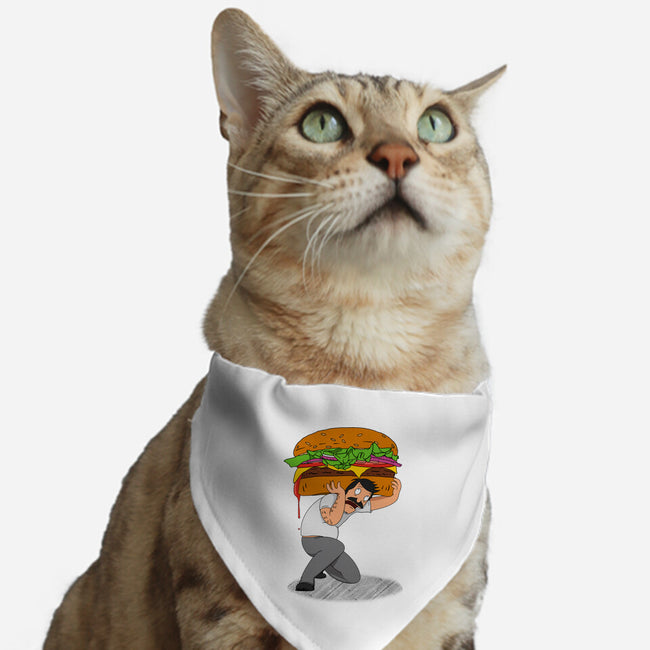Bob Atlas-cat adjustable pet collar-SeamusAran
