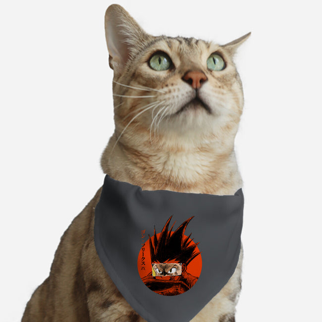 Rage-cat adjustable pet collar-Jelly89