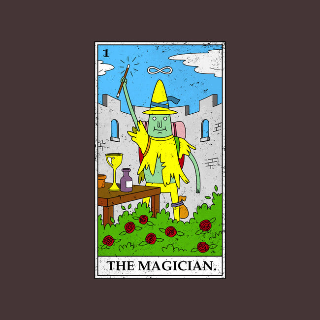 Adventure Magician-none removable cover w insert throw pillow-drbutler