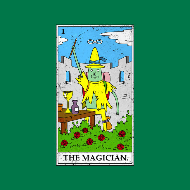 Adventure Magician-none removable cover w insert throw pillow-drbutler