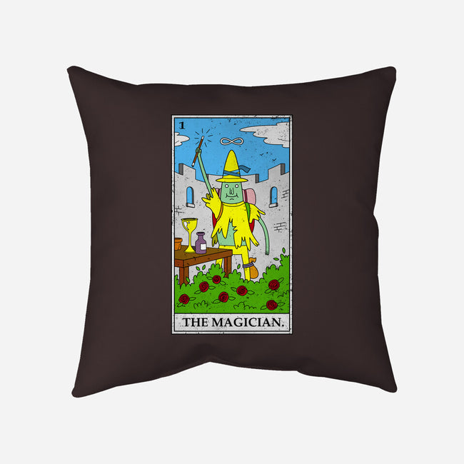 Adventure Magician-none removable cover w insert throw pillow-drbutler