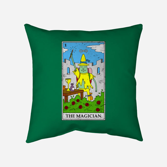 Adventure Magician-none removable cover w insert throw pillow-drbutler