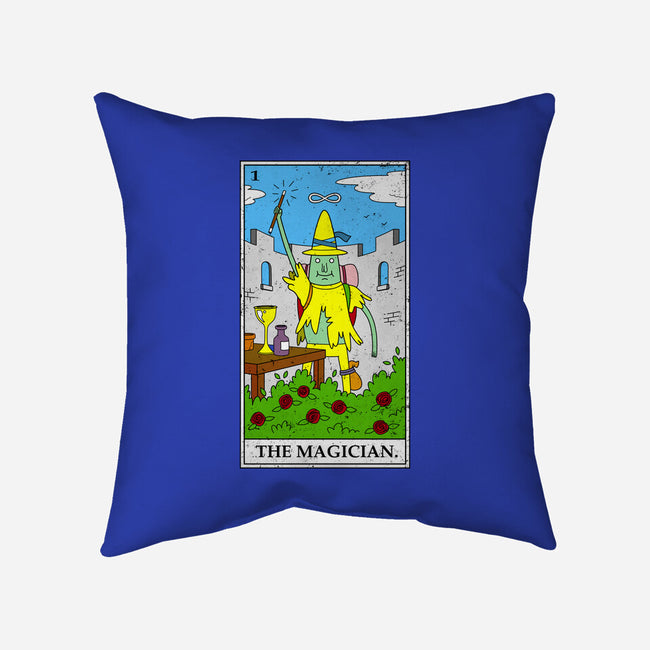 Adventure Magician-none removable cover w insert throw pillow-drbutler