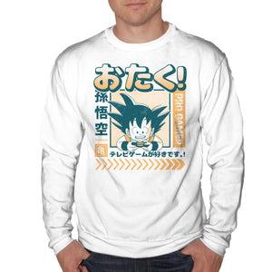 Otaku Hero