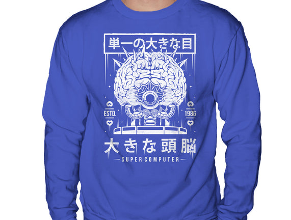 The Brain