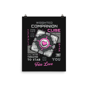 Companion Cube