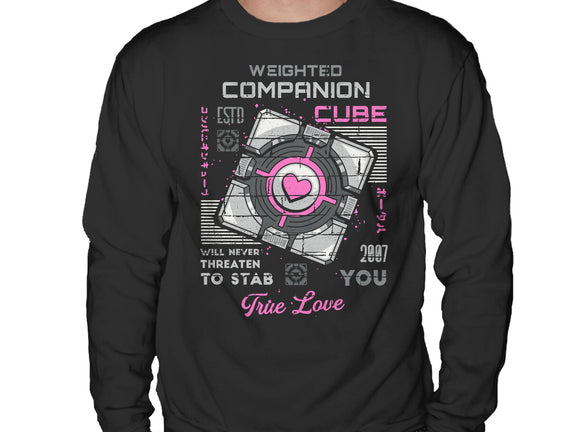 Companion Cube