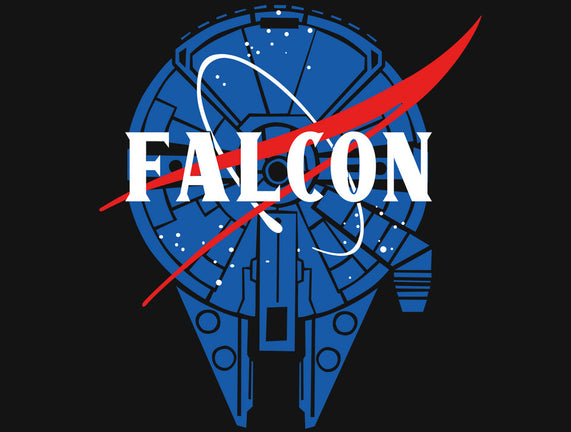 Falcon Nasa