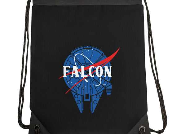 Falcon Nasa