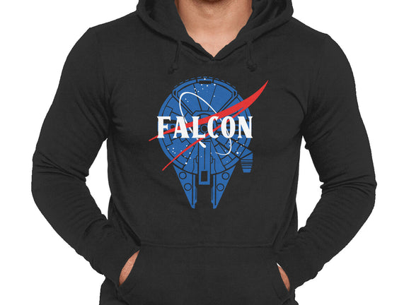 Falcon Nasa