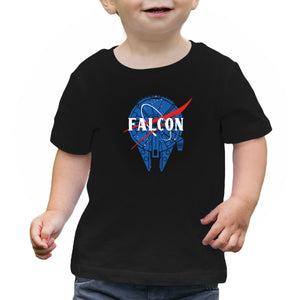 Falcon Nasa