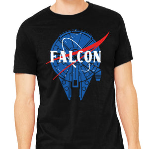 Falcon Nasa
