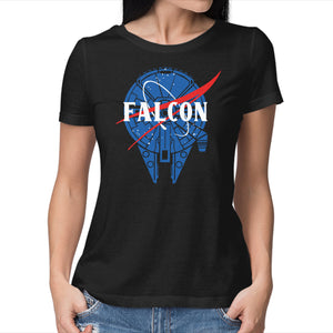 Falcon Nasa
