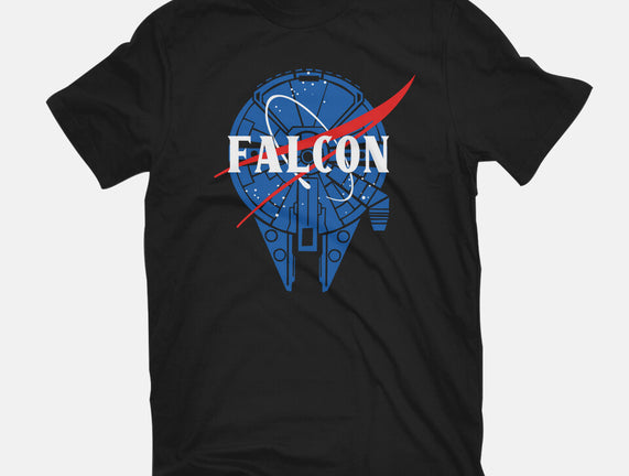 Falcon Nasa