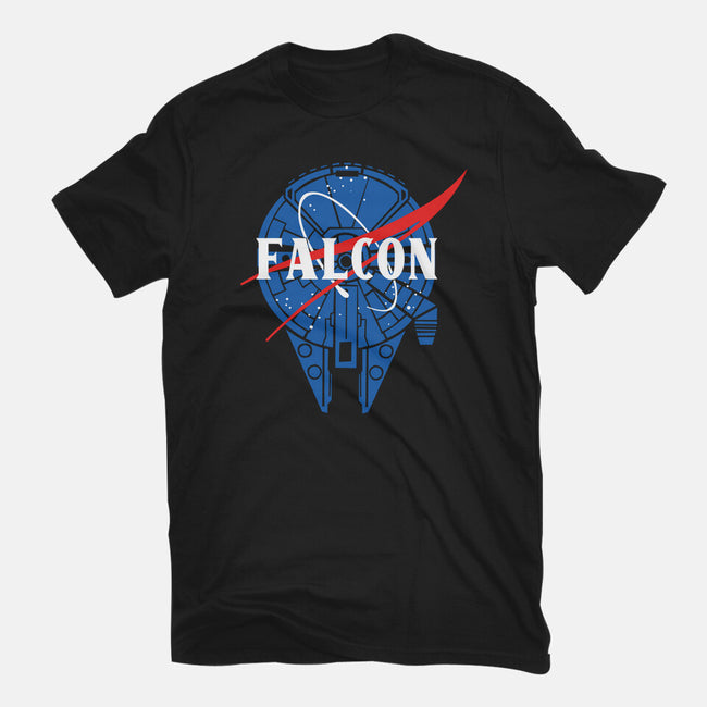 Falcon Nasa-youth basic tee-Melonseta