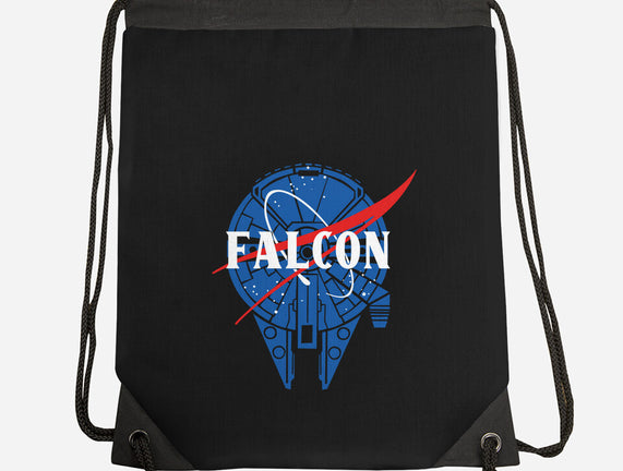 Falcon Nasa