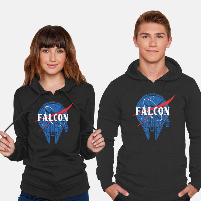 Falcon Nasa-unisex pullover sweatshirt-Melonseta