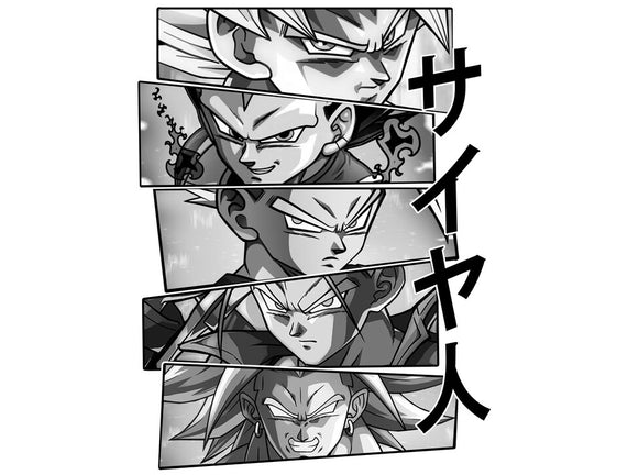 Saiyajin Heroes