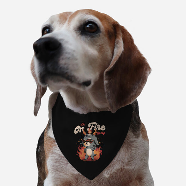 I'm On Fire Today-dog adjustable pet collar-eduely